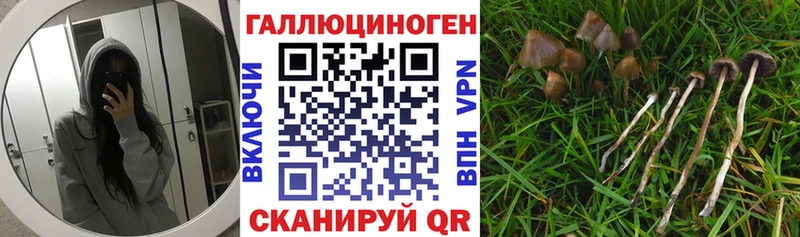 Галлюциногенные грибы мухоморы  закладка  Верещагино 